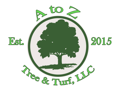 Logo 5